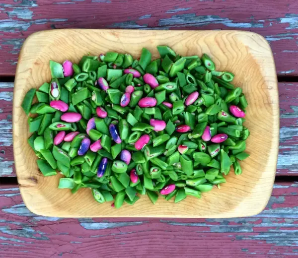 The Cutting Bowl