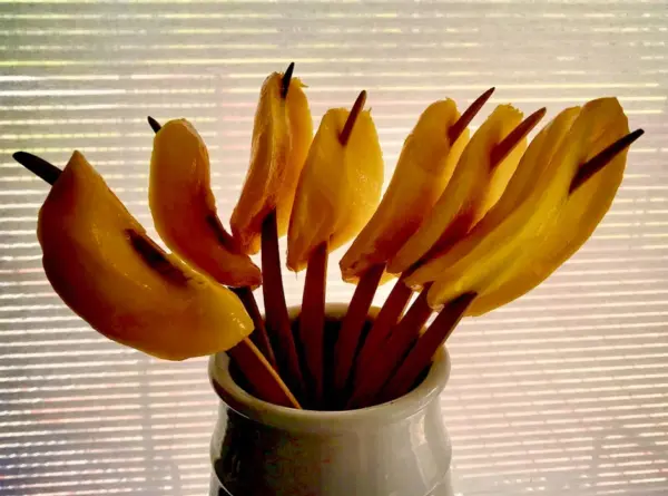 The Kitchen Quill